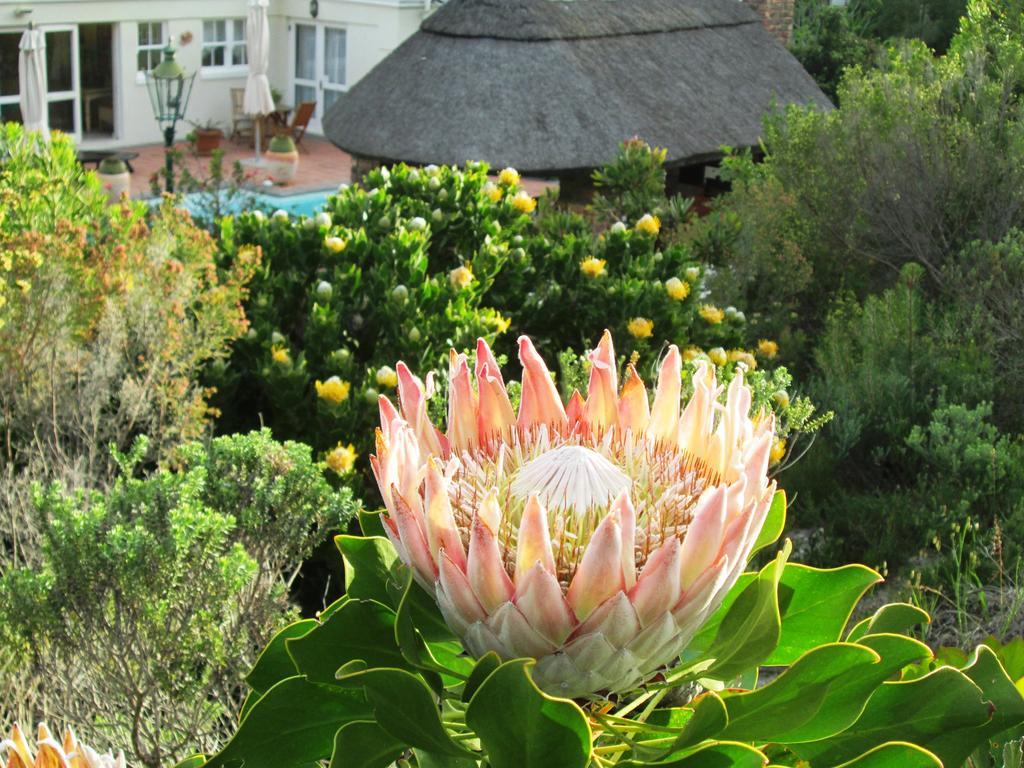 Von Abercron Residence Hermanus Room photo